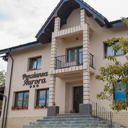 Hotel Pensiunea Aurora Racova Exteriér fotografie